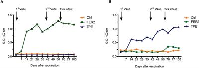 Preliminary Evaluation of Tick Protein Extracts and Recombinant Ferritin 2 as Anti-tick Vaccines Targeting Ixodes ricinus in Cattle